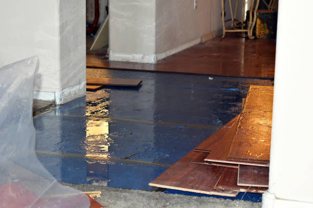 Professional Sewage Cleanup technician working in Evansville, IL